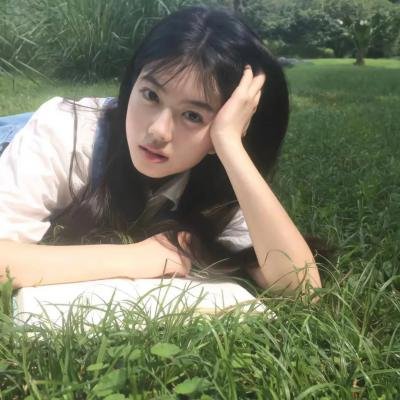 鲨与鲸
